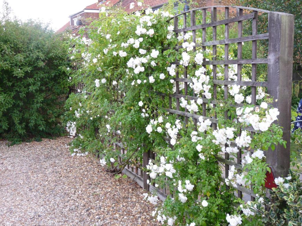 Ashdene House Bed and Breakfast Dersingham Exteriör bild
